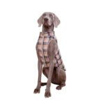 Plaid Dog Winter Coat with Leash - Warm Waterproof