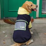 Large Dog Colorblock Reflective Sweater - Trendy Pet Apparel