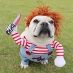 Halloween Pet Costume - Funny Adjustable Dog Cat Outfit