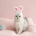 Plush Bunny Ears Pet Hat - Cute Easter Costume for Cats