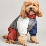 Color Block Padded Dog Jumpsuit Warm Winter Snowsuit