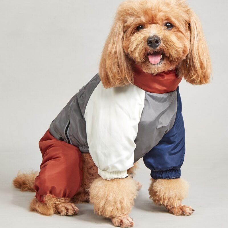 Color Block Padded Dog Jumpsuit Warm Winter Snowsuit