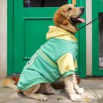 Large Dog Colorblock Reflective Sweater - Trendy Pet Apparel