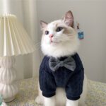 Cute Bow Cat Sweater