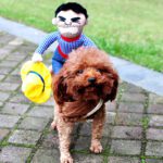 Halloween Pet Costume - Funny Adjustable Dog Cat Outfit
