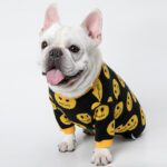 Dog Cat Pet Clothes - Cute Outfit for Small Pets
