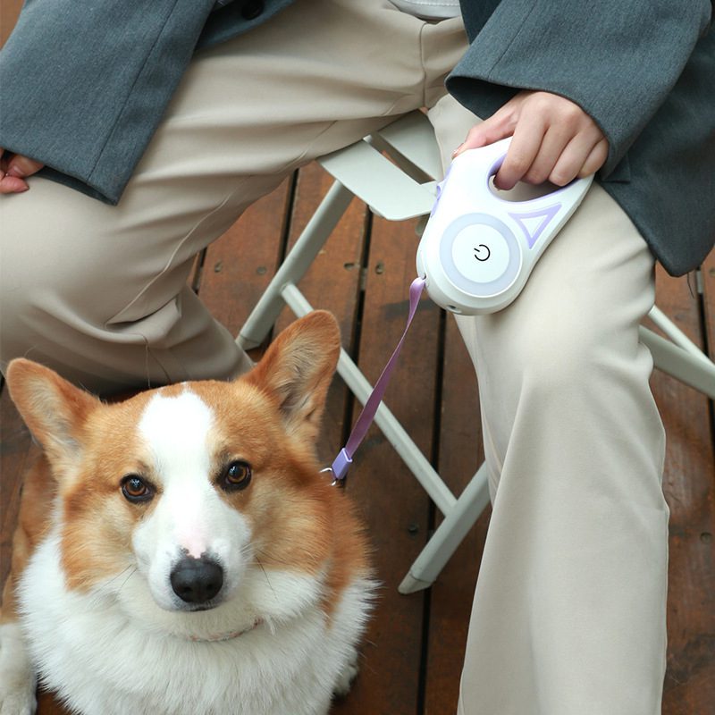 Dog Leash Retractable with Collar Spotlight - Automatic