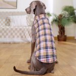 Plaid Dog Winter Coat with Leash - Warm Waterproof