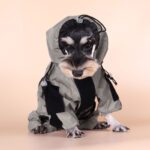 Ultimate Protection Dog Safety Vest - Reflective