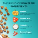 Dog Probiotic Chews