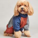 Color Block Padded Dog Jumpsuit - Warm Winter Snowsuit