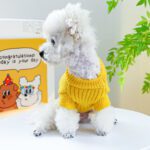 Cute Dinosaur Spiked Dog Sweater