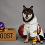Basketball Team Dog Jacket