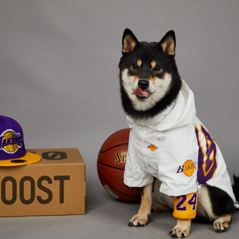 Basketball Team Dog Jacket