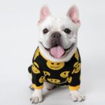 Dog Cat Pet Clothes Cute Outfit for Small Pets