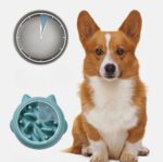 Pet Slow Feeder Bowls - Anti Choking Slow Feed Dish