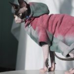 Pet Tie-Dye Velvet Warm Hoodie - Thick Cozy Sweater