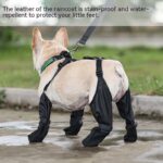 Waterproof Dog Leggings with Harness
