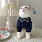 Cute Bow Cat Sweater