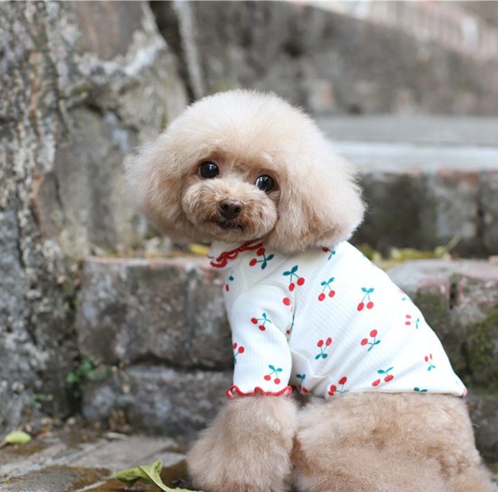 Cotton Cherry Print Wavy Edge Top Dog Clothes