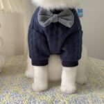 Cute Bow Cat Sweater