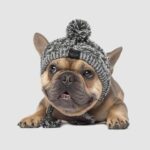 Warm Knit Dog Beanie Hat