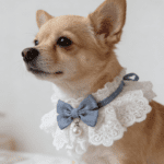 Cute Princess Bowtie Cat Collar - Soft Adjustable Kitten