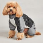 Color Block Padded Dog Jumpsuit - Warm Winter Snowsuit
