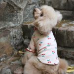 Cotton Cherry Print Wavy Edge Top Dog Clothes