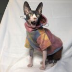 Pet Tie-Dye Velvet Warm Hoodie - Thick Cozy Sweater