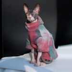 Pet Tie-Dye Velvet Warm Hoodie Thick Cozy Sweater