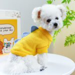 Cute Dinosaur Spiked Dog Sweater