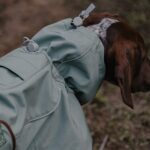 Premium Waterproof Dog Hiking Jacket - Windproof All Weather