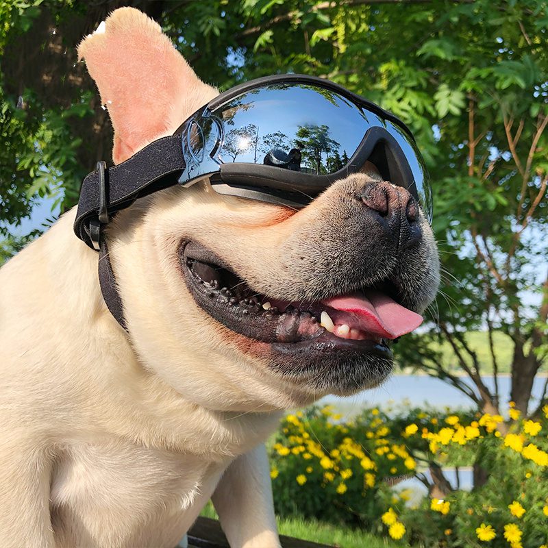 UV Protection Dog Goggles
