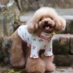 Cotton Cherry Print Wavy Edge Top Dog Clothes