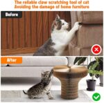 Collapsible Cat Scratcher Lounge Bed - Cardboard