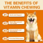 Multivitamin Soft Chews