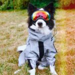 Ultimate Protection Dog Safety Vest - Reflective
