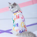 Cat Clothes Anti Hair Loss Cute Vest - Blue