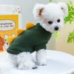 Cute Dinosaur Spiked Dog Sweater
