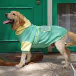 Large Dog Colorblock Reflective Sweater Trendy Pet Apparel