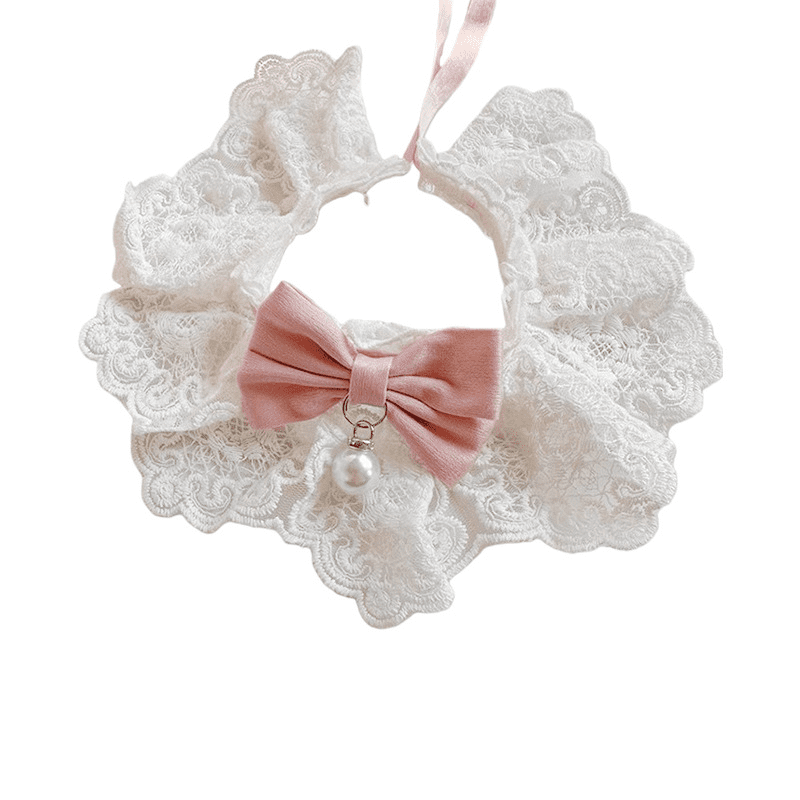 Collar Detail