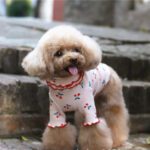 Cotton Cherry Print Wavy Edge Top Dog Clothes