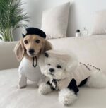 Luxury Tweed Pet Beret Hat