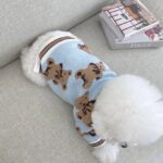 Dog Cat Sweater - Preppy V-Neck Striped Vest