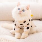 Adorable Anti-Lint Cat Sweater Soft Warm Indoor Outfit
