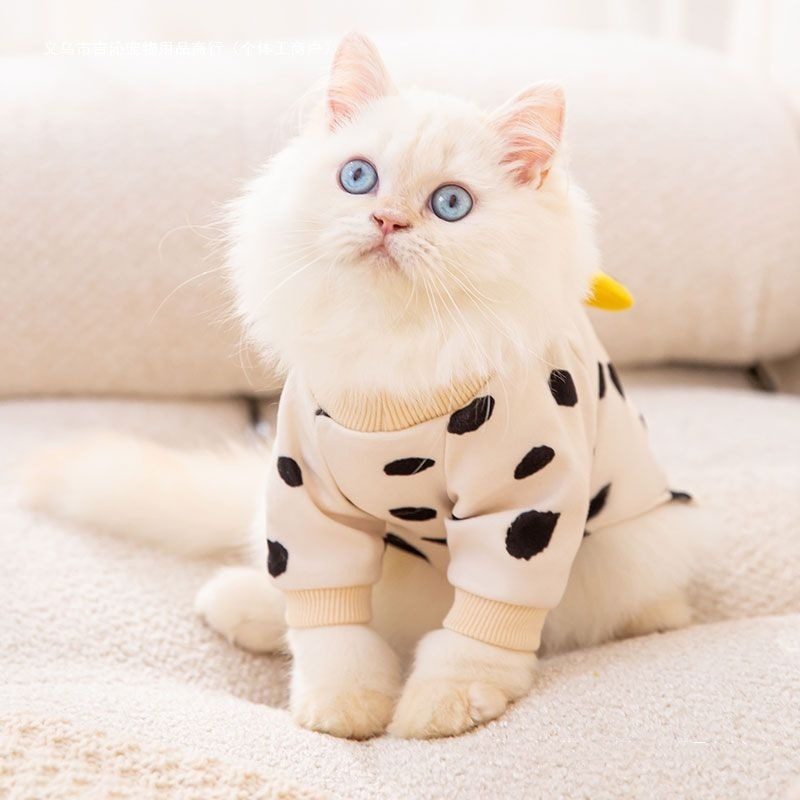 Adorable Anti-Lint Cat Sweater Soft Warm Indoor Outfit