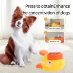 2-in-1 Interactive Dog Toy - Automatic Treat Dispenser