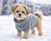 dog sweater.jpg